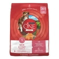 thumbnail image 1 of Purina ONE Plus Dry Dog Food Skin & Health Formula, High Protein Rich Natural Salmon, 31.1 lb Bag, 1 of 11