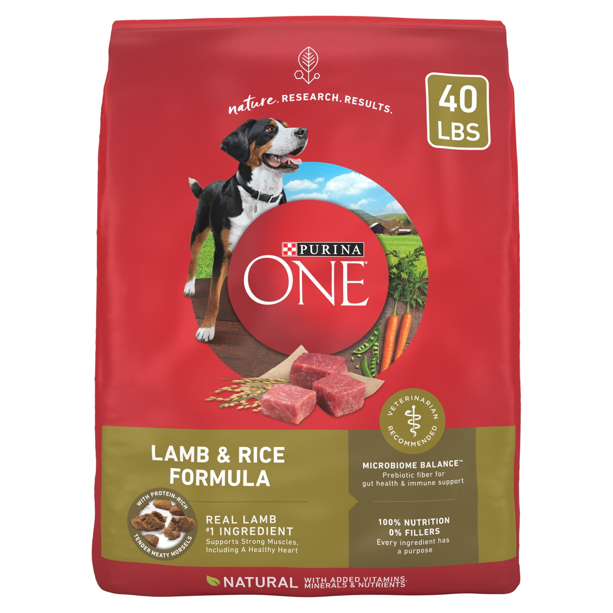 Purina One Plus Dry Dog Food For