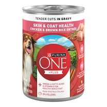 Purina ONE Plus Tender Cuts in Gravy Skin and Coat Chicken and Brown Rice Entree Natural with Added Vitamins and Minerals Wet Dog Food, 13 oz Can