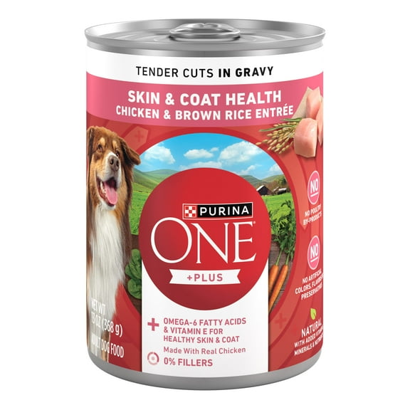 Purina ONE Plus Tender Cuts in Gravy Skin and Coat Chicken and Brown Rice Entree Natural with Added Vitamins and Minerals Wet Dog Food, 13 oz Can