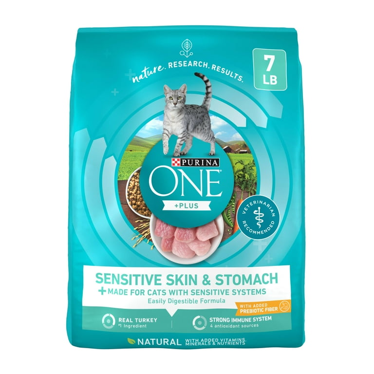 Purina ONE Sensitive Stomach Sensitive Skin Natural Dry Cat Food