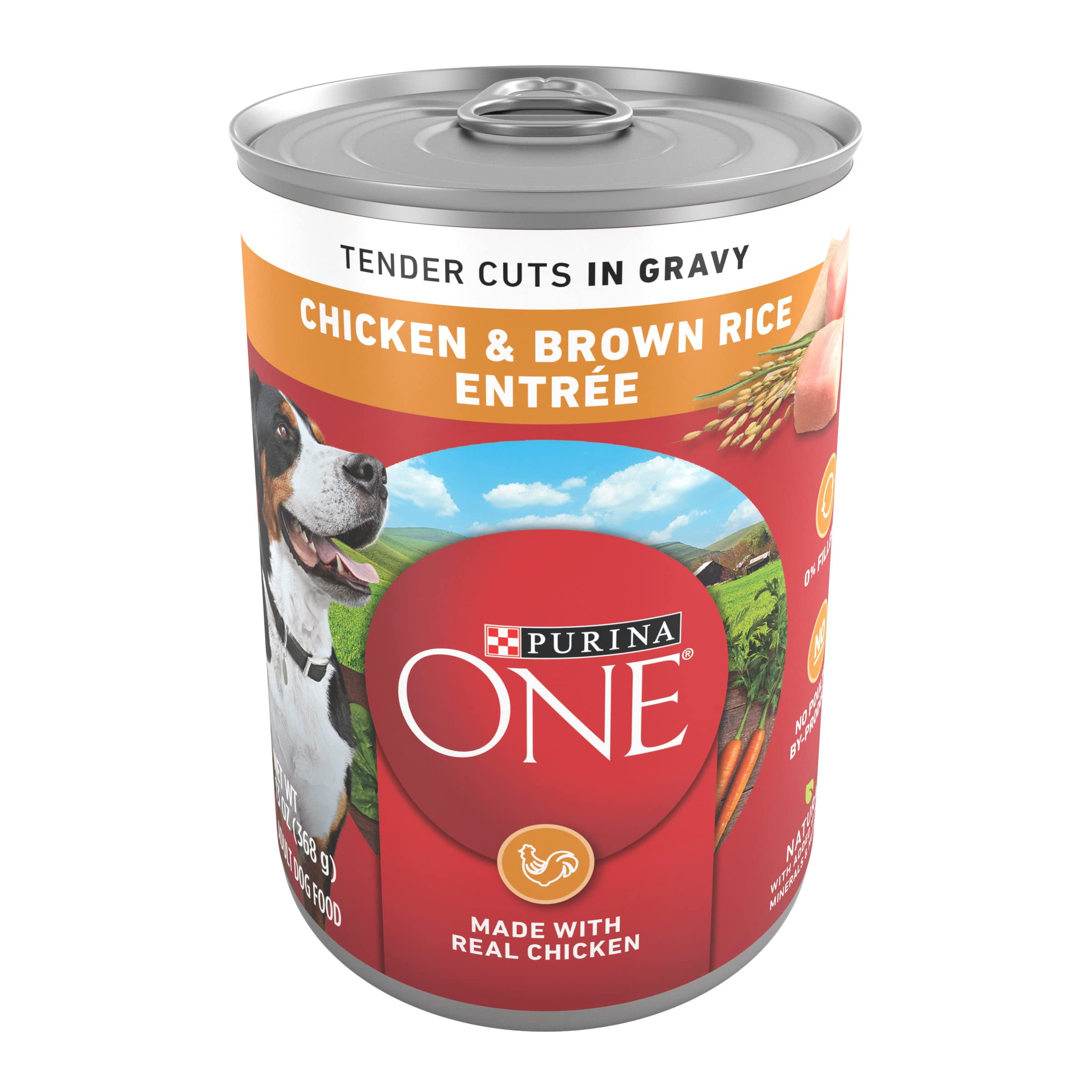Purina ONE Tender Cuts in Wet Dog Food Gravy Chicken and Brown Rice