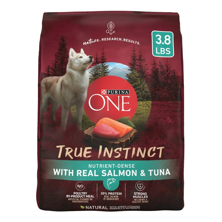 Large breed dog food deals walmart