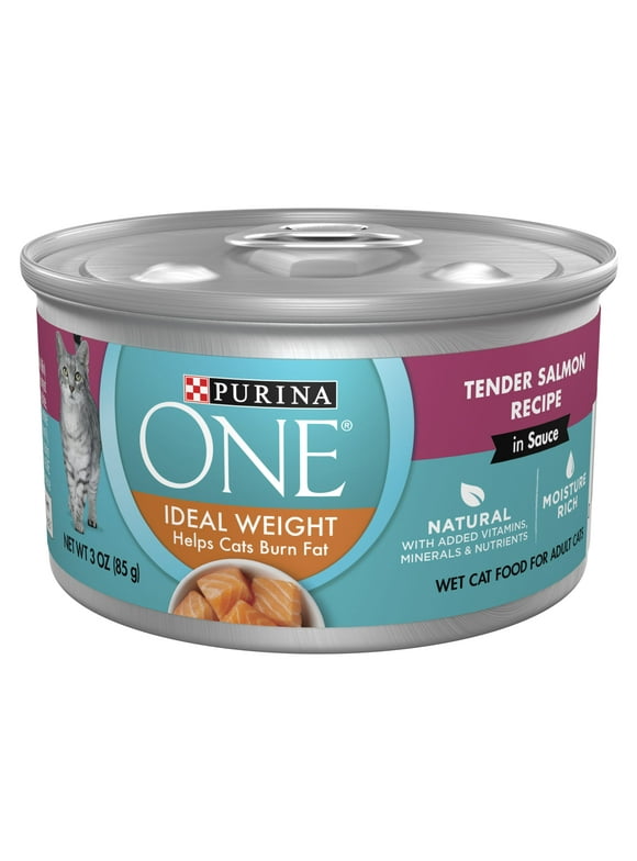 Purina One Cat Food in Purina One