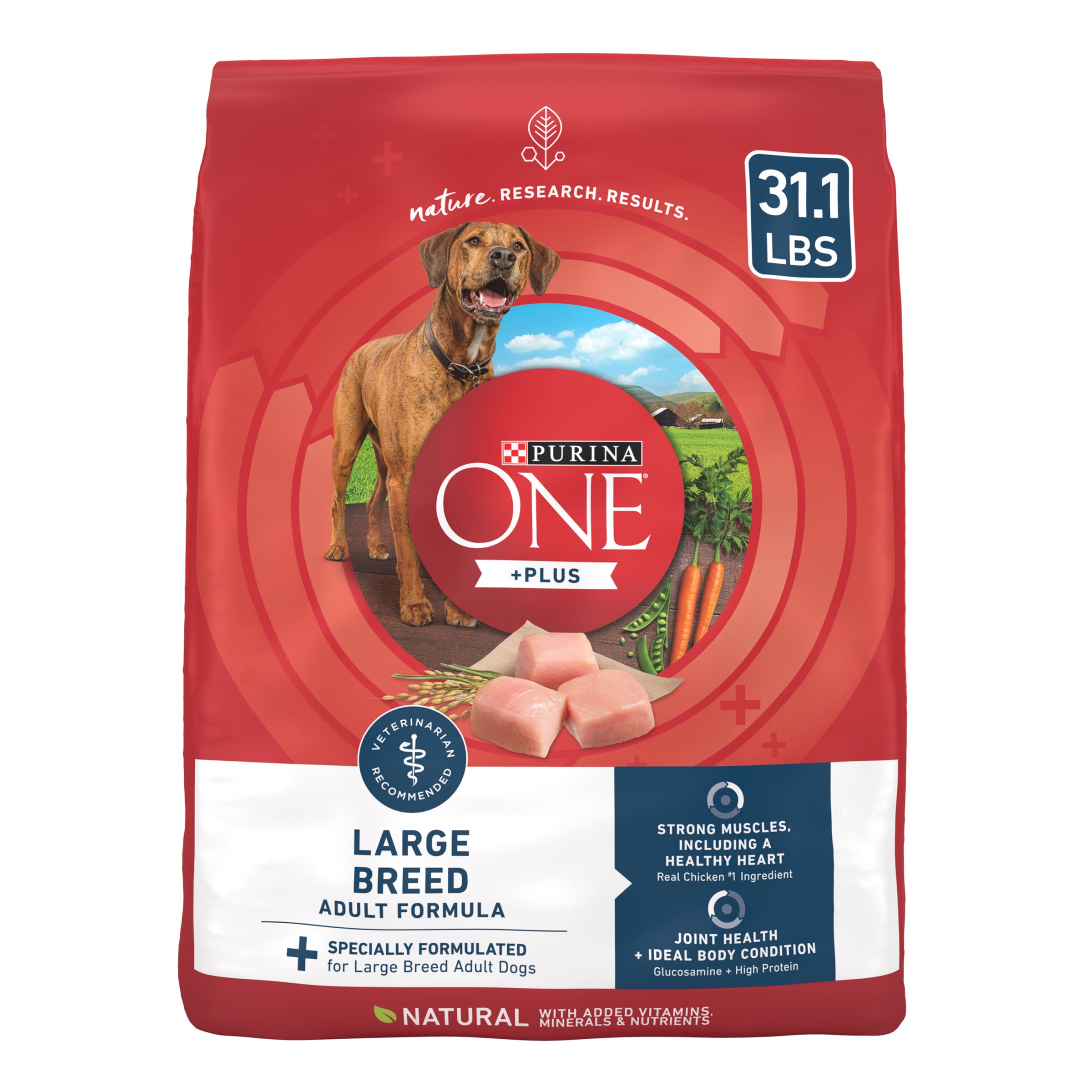 Purina One +Plus Dry Dog Food for Large  Adult Dogs High Protein, Real Chicken, 31.1 lb Bag - image 1 of 11