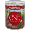 Purina ONE Smart Blend Natural Wet Dog Food, High Protein Soft Lamb & Brown Rice , 13 oz can