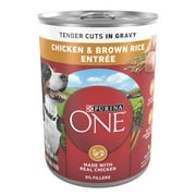 Purina One Wet Dog Food for Adult Dogs High Protein Tender Cuts in Gravy, Real Chicken & Brown Rice, 13 oz Can