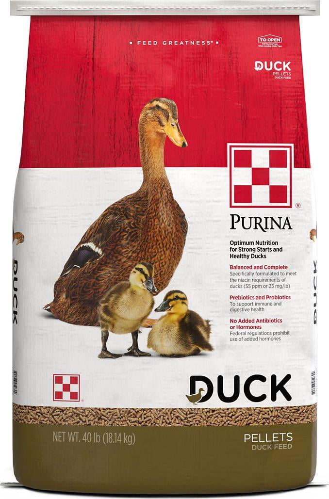 Purina Duck Feed Pellets, Niacin for Ducks, Duck Food for Wild Ducks