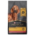 Purina Pro Plan 4 lb Senior 7+ Sensitive Skin and Stomach Salmon and