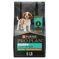 thumbnail image 1 of Purina Pro Plan High Protein Small Breed Puppy Food DHA Chicken & Rice Formula, 6 lb. Bag, 1 of 12