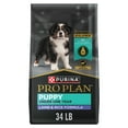 thumbnail image 1 of Purina Pro Plan Puppy Dry Dog Food, Dogs Under 1 Year, High Protein Real Lamb & Rice Formula, 34 lb Bag, 1 of 14