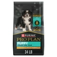 thumbnail image 1 of Purina Pro Plan Puppy Dry Dog Food, Lean Muscle Support, High Protein Chicken & Rice, 34 lb Bag, 1 of 13