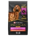 thumbnail image 1 of Purina Pro Plan Sensitive Skin and Sensitive Stomach Dog Food Senior Dogs Adult 7 Plus Salmon and Rice Formula, 16 lb Bag, 1 of 14