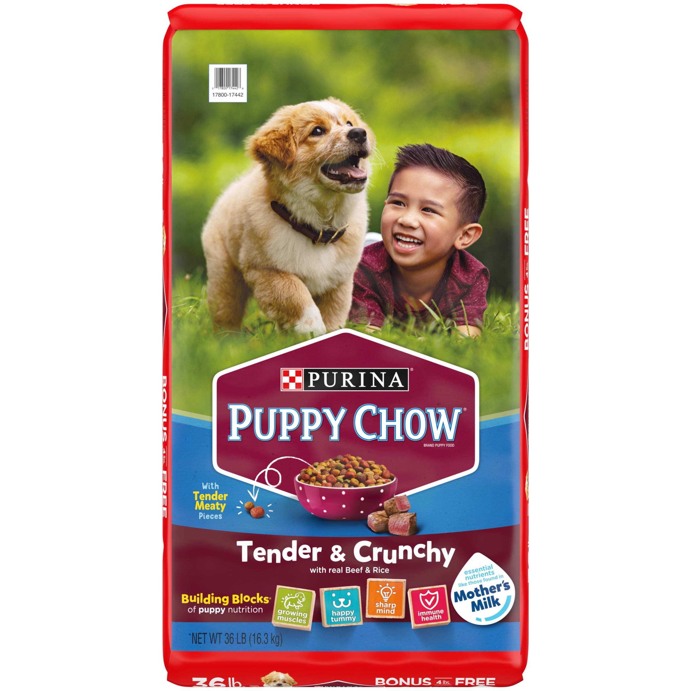 Purina Puppy Chow Dry Dog Food, High Protein Tender & Crunchy Real Beef Formula, 36 lb Bag