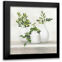 Purinton, Julia 12x12 Black Modern Framed Museum Art Print Titled - Plant Life II