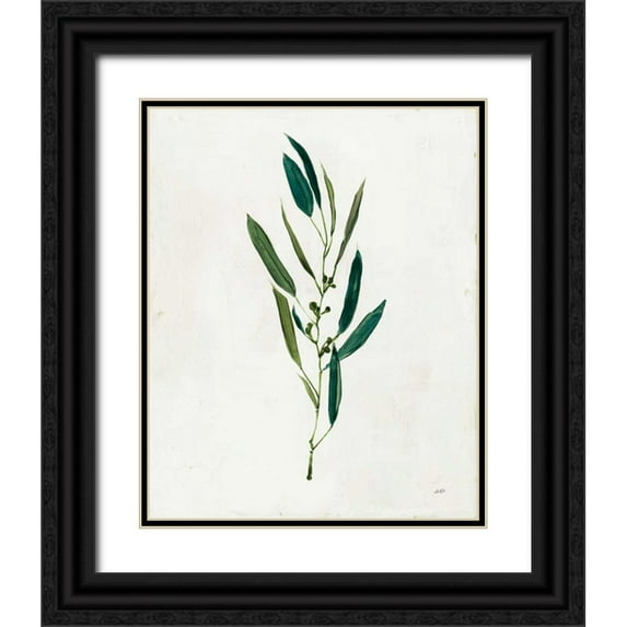 Purinton, Julia 12x14 Black Ornate Wood Framed with Double Matting Museum Art Print Titled - Botanical Study I Greenery