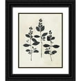 thumbnail image 1 of Purinton, Julia 12x14 Black Ornate Wood Framed with Double Matting Museum Art Print Titled - Botanical Study IV, 1 of 4