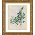 thumbnail image 1 of Purinton, Julia 12x14 Gold Ornate Wood Framed with Double Matting Museum Art Print Titled - Palm Botanical IV, 1 of 4