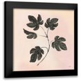 thumbnail image 1 of Purinton, Julia 15x15 Black Modern Framed Museum Art Print Titled - Botanical Study III Blush, 1 of 5