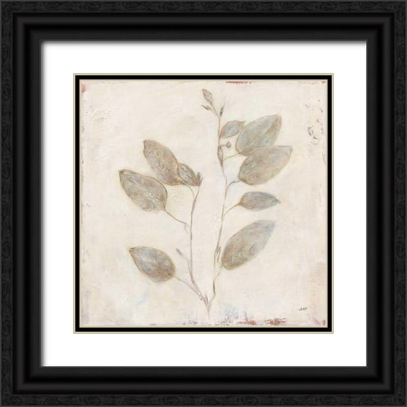 Purinton, Julia 15x15 Black Ornate Wood Framed with Double Matting Museum Art Print Titled - Plantlife II