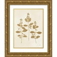 thumbnail image 1 of Purinton, Julia 15x18 Gold Ornate Wood Framed with Double Matting Museum Art Print Titled - Botanical Study IV Gold Crop, 1 of 4