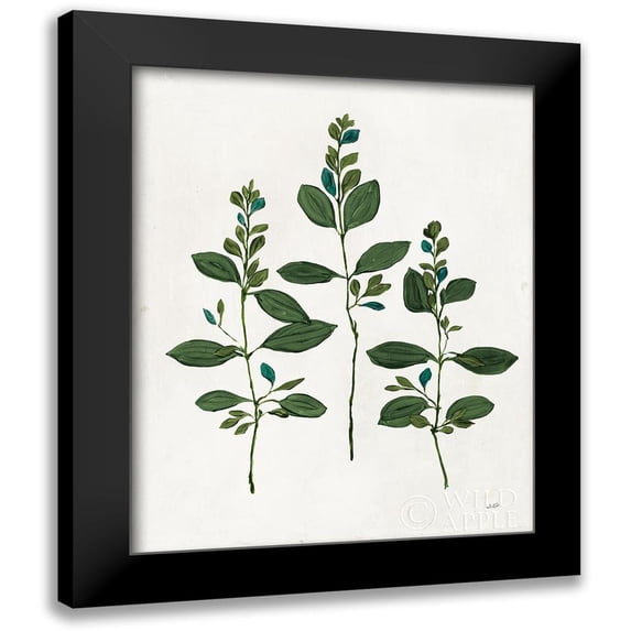 Purinton, Julia 20x24 Black Modern Framed Museum Art Print Titled - Botanical Study IV Greenery