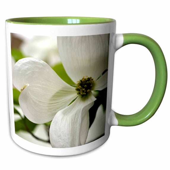 3drose, Purity - White Dogwood Flower - Spring Flowering Trees, 11oz Two-tone Green Mug