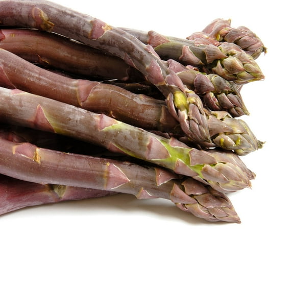 Purle Passion 50 Live asparagus bare root plants -2yr-crowns
