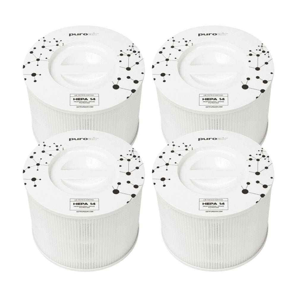 PuroAir 240 Professional Grade HEPA Replacement Filters, 4-Pack