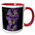 thumbnail image 1 of 3drose, Purple and Cream Gladiolus, 15oz Two-tone Red Mug, 1 of 6