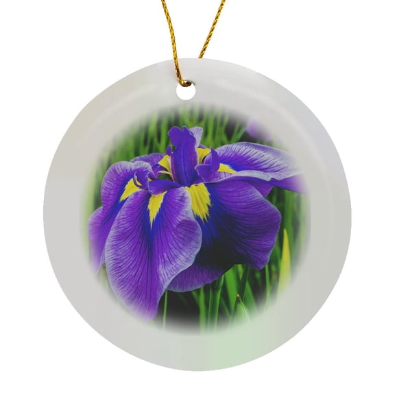 3drose, Purple and Yellow Large Japanese Iris, Iris Ensata Close-up., Circle Porcelain Ornament