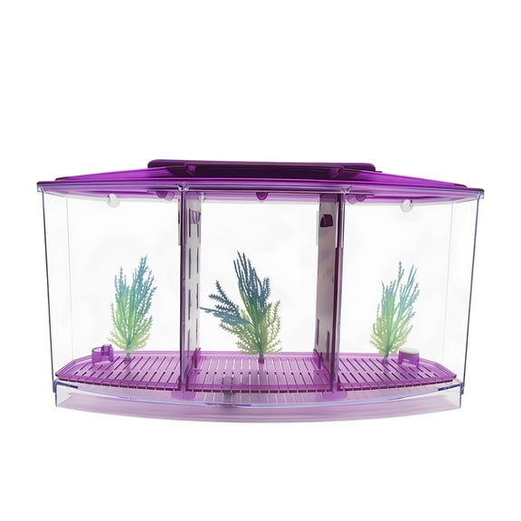 Purple Betta Fish Tank, Three-Compartment Aquarium, Blue White LED Lights, Light Plastic Design, Desktop Mini Breeding Isolation Box for Betta Fish, Hermit Crabs, Office Home Study Decor