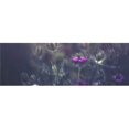 thumbnail image 1 of Purple Blossoms - Prague Czech Republic Poster Print - 36 x 12 in. - Large, 1 of 1