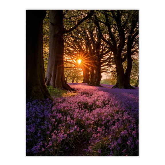 Purple Bluebell Woods At Dawn Sunrise Peaceful Elegant Artwork Extra Large XL Wall Art Poster Print