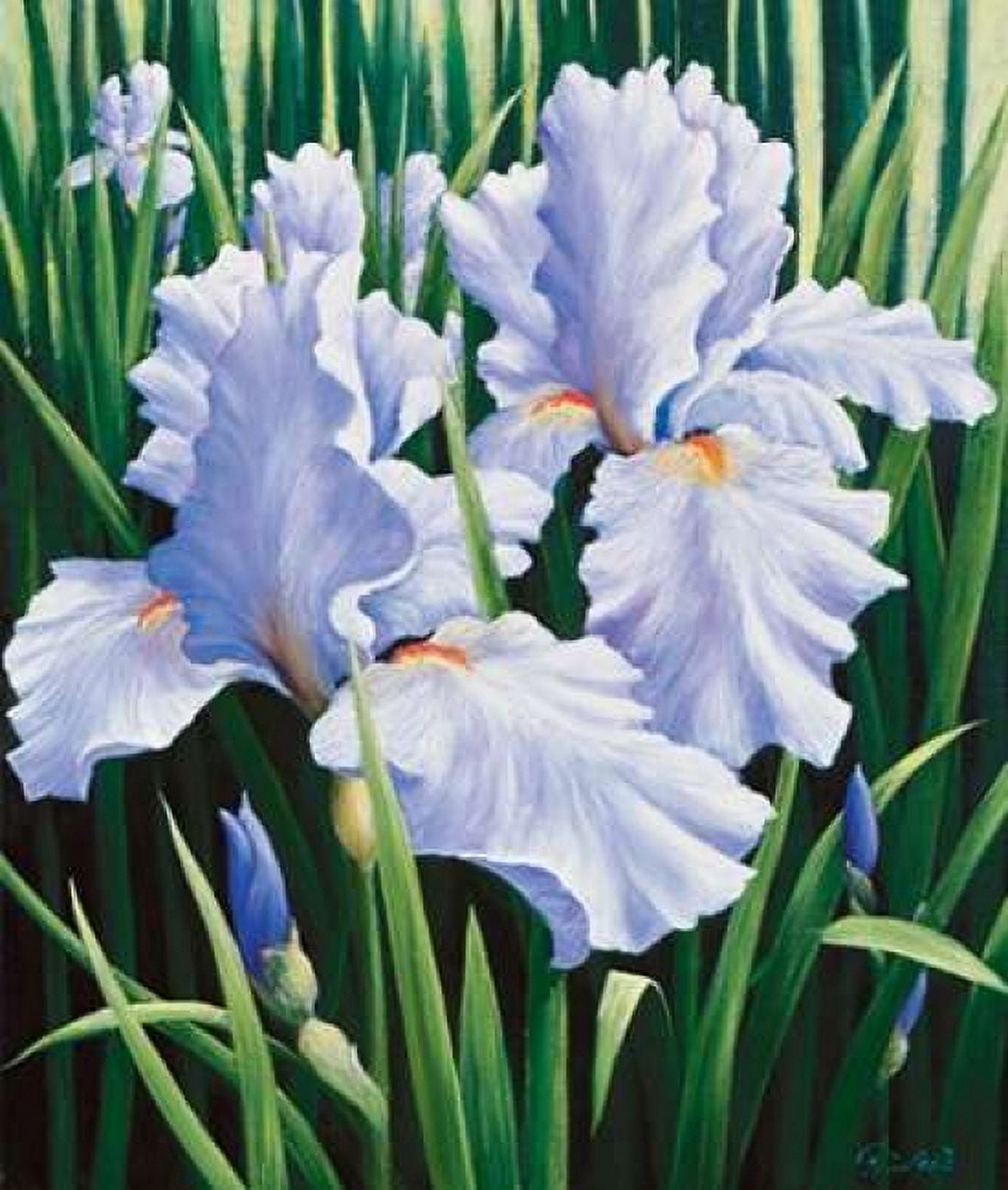 Purple Canvas Art - Peter Motz (24 x 24)