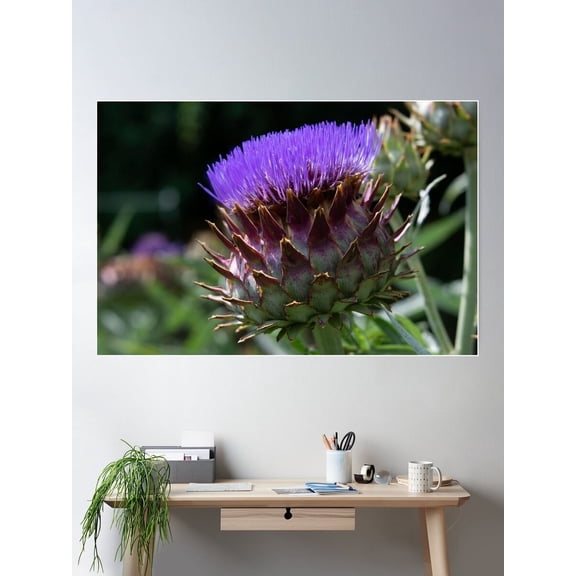 Purple Cardoon In Full Bloom Poster Wall Art, Modern Wall Decor For Living Room Bedroom, 12x18 UNFRAMED