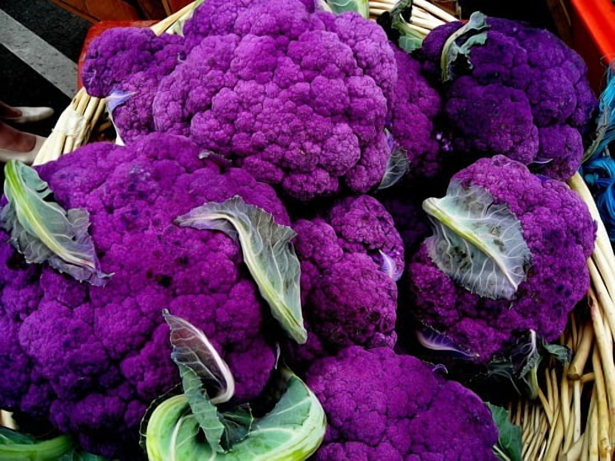 Purple Cauliflower Plant - 4" Pot - Color and Flavor - Walmart.com