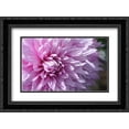 thumbnail image 1 of Purple Dahila 3 2x Matted 24x18 Black Ornate Framed Art Print by Foschino, Suzanne, 1 of 2