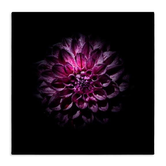 Purple Dahlia Dark Contemporary Canvas Wall Art, design by Brian Carson Photography