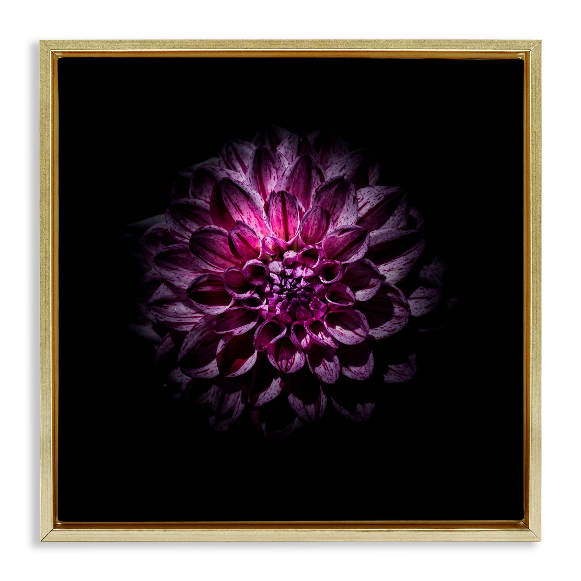 Purple Dahlia Dark Contemporary Gold Framed Floater Canvas Wall Art, design by Brian Carson Photography