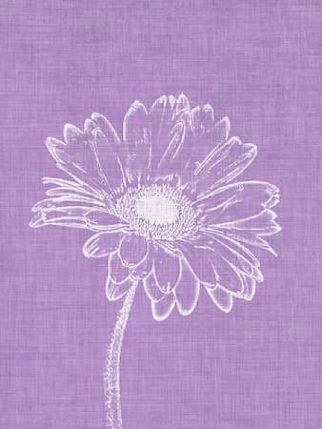 Purple Daisies I Canvas Art - Gail Peck (20 x 28)