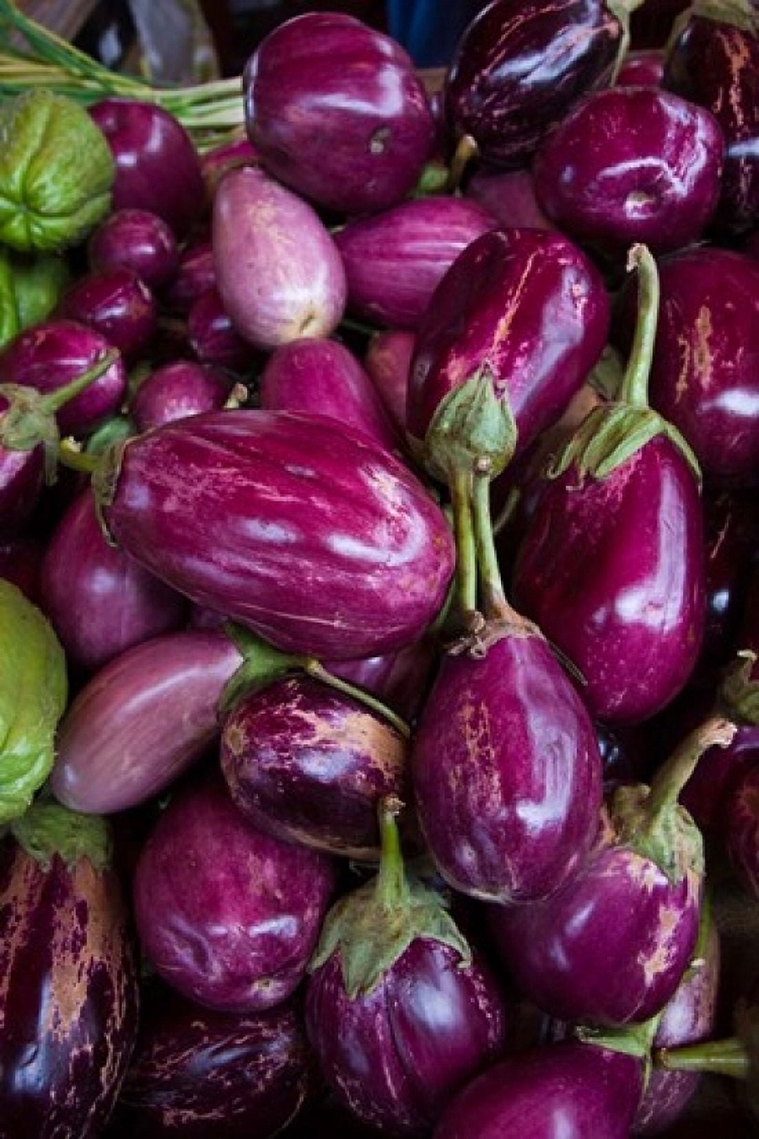 Purple Eggplant Seafront Market Canvas Art - Walter Bibikow DanitaDelimont (24 x 36)