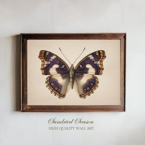 Purple Emperor Butterfly Vintage Print, Violet Insect Wall Art For Nature Decor, Botanical Study, Cottagecore Home, Gallery Wall Display UNFRAMED Poster, Wall Art for Decor, Present, 24x36