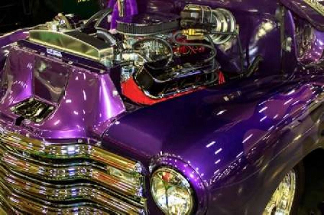 Purple Flamer I Canvas Art - Alan Hausenflock (20 x 28)