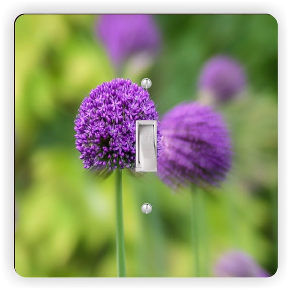 Purple Flower Ball Macro Close-Up Bokeh - Light Switch Plate Cover - Single Toggle Switch Plate - Single Toggle Cover
