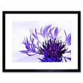 thumbnail image 1 of Purple Flower Vibrant Framed Wall Art Print, 1 of 5