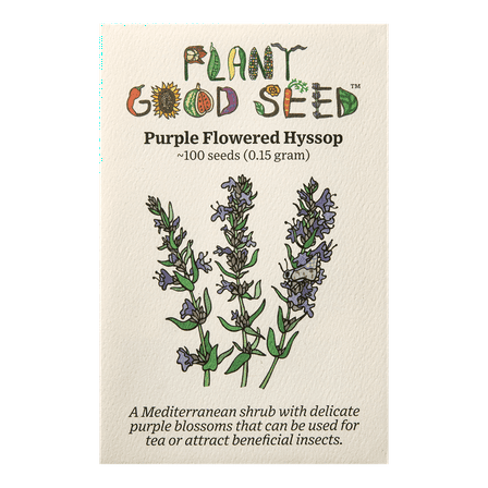 Purple Flowered Hyssop Seeds
