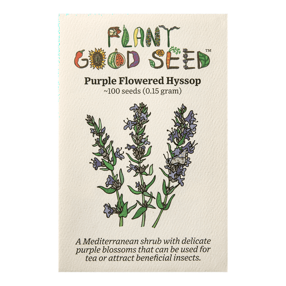 Purple Flowered Hyssop Seeds