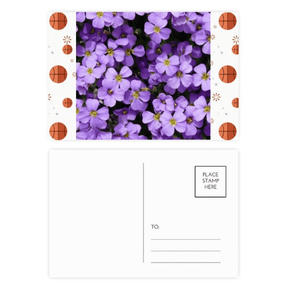 Purple Flowers Beautiful Romantic Basketball Postcard Set Thanks Card Mailing Side 20pcs