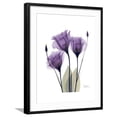 thumbnail image 1 of Art.com Purple Gentian Triplet Premium Giclee Print by Albert Koetsier, Black Frame Wall Art, 23" x 29", 1 of 5